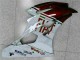 Marrone Bianco Carene Moto R6 2006-2007 Marrone Bianco Carene Moto R6 2006-2007